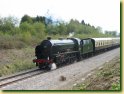 [ 30925 Cheltenham (30926 Repton) ]